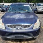 2007 HYUNDAI VERACRUZ G – KM8NU13C67U007507