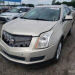 2010 Cadillac SRX – 3GYFNAEY0AS655618
